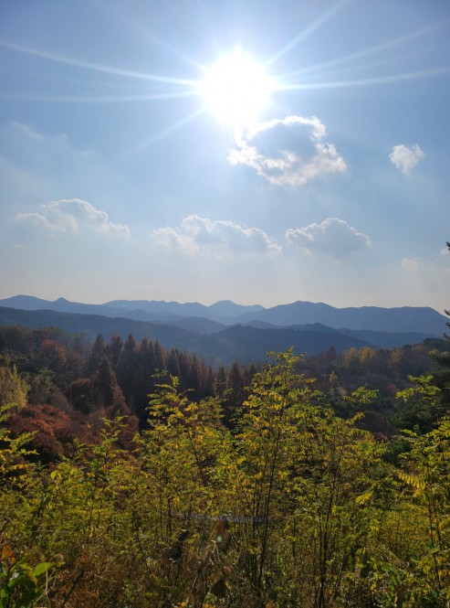 만악리수목원의 풍경사진~