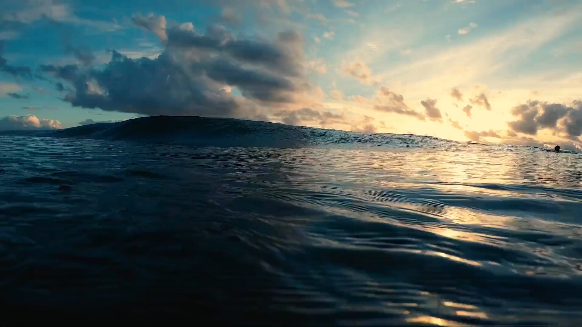 캠핑장의 가을풍경~~ > 일반 갤러리 | 금산수목원 캠핑장